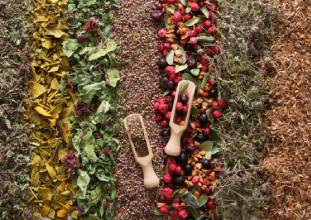 Clear Solutions | الحلول الواضحة