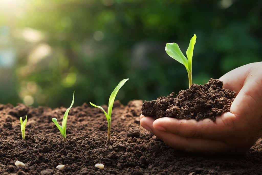 Clear Solutions | الحلول الواضحة