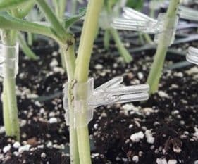 Clear Solutions | الحلول الواضحة